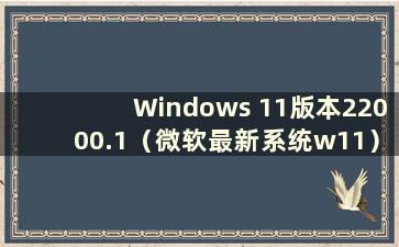 Windows 11版本22000.1（微软最新系统w11）